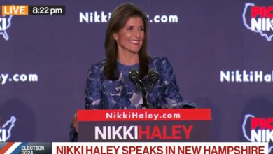 Haley new hampshire loss