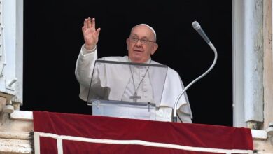 Pope francis surrogacy ban