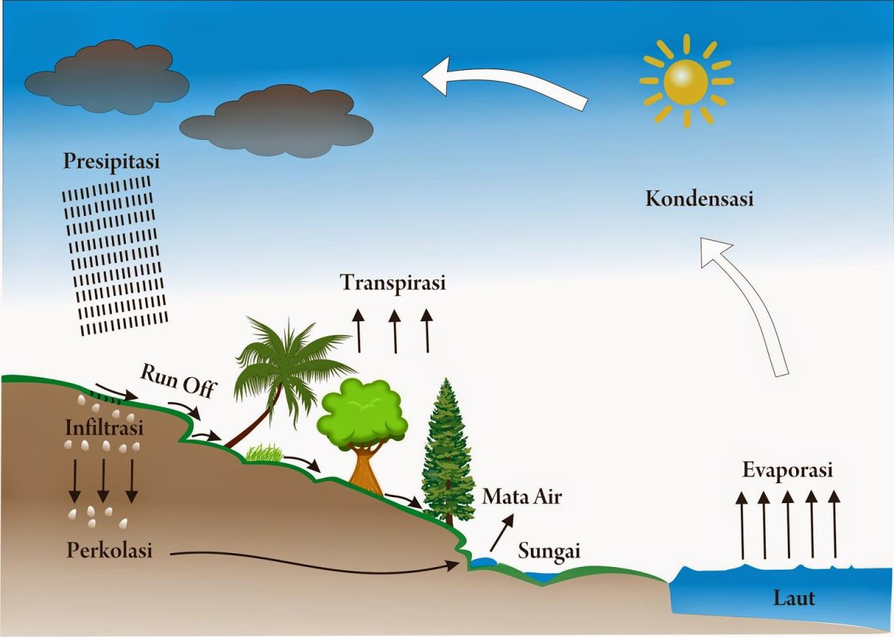 Word of the day hydrologic