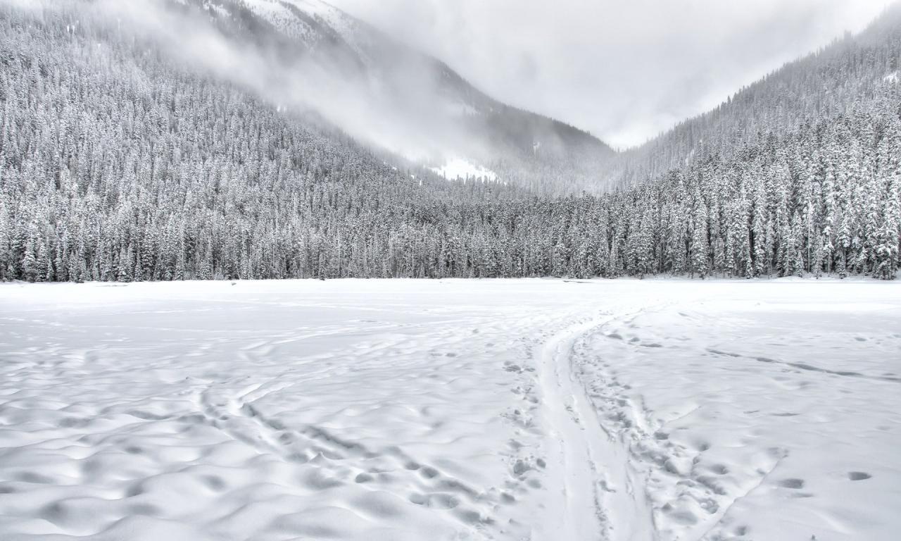 Snow winter climate change