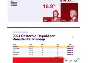 Nikki haley republican primary ethics south carolina