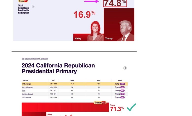 Nikki haley republican primary ethics south carolina