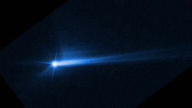 Nasa crash asteroid dart study