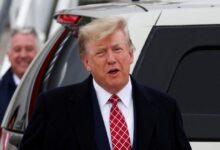 Late night trump immunity