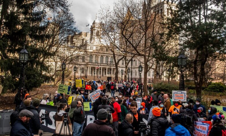 Nyc climate change education