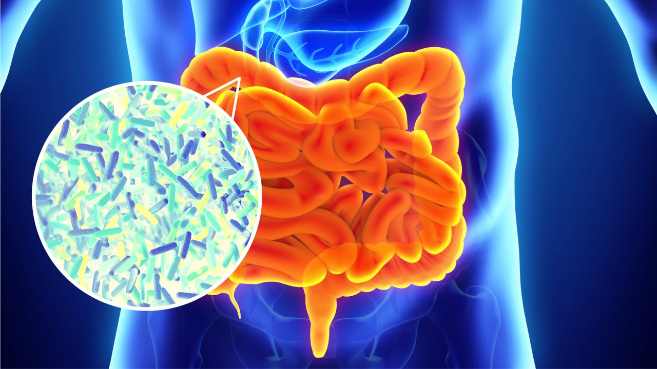 Alcohol gut health microbiome