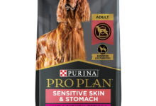 Purina pro plan sick dogs