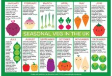 Year of the vegetable