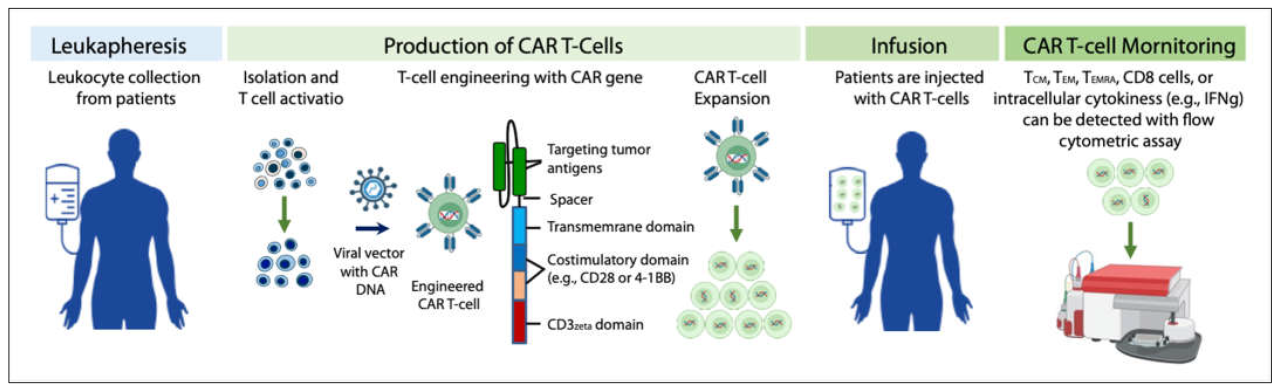 Fda cancer car t warning