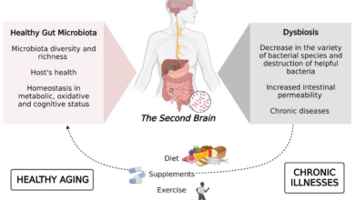 Alcohol gut health microbiome