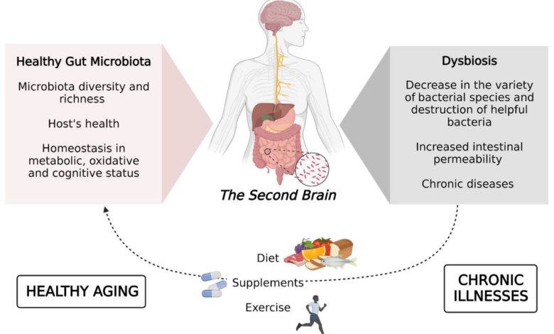 Alcohol gut health microbiome