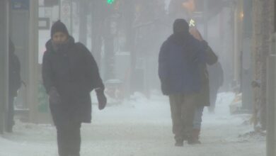 Tormenta de nieve california