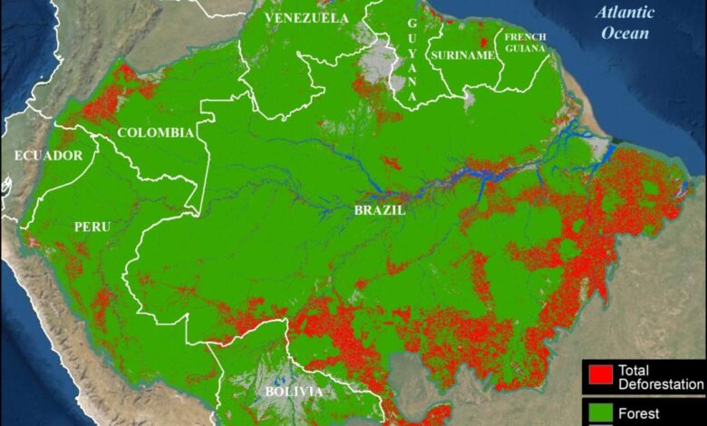 Amazon rain forest tipping point