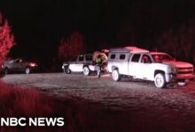 University colorado shooting arrest