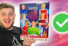 Wsl panini stickers collection