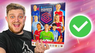 Wsl panini stickers collection