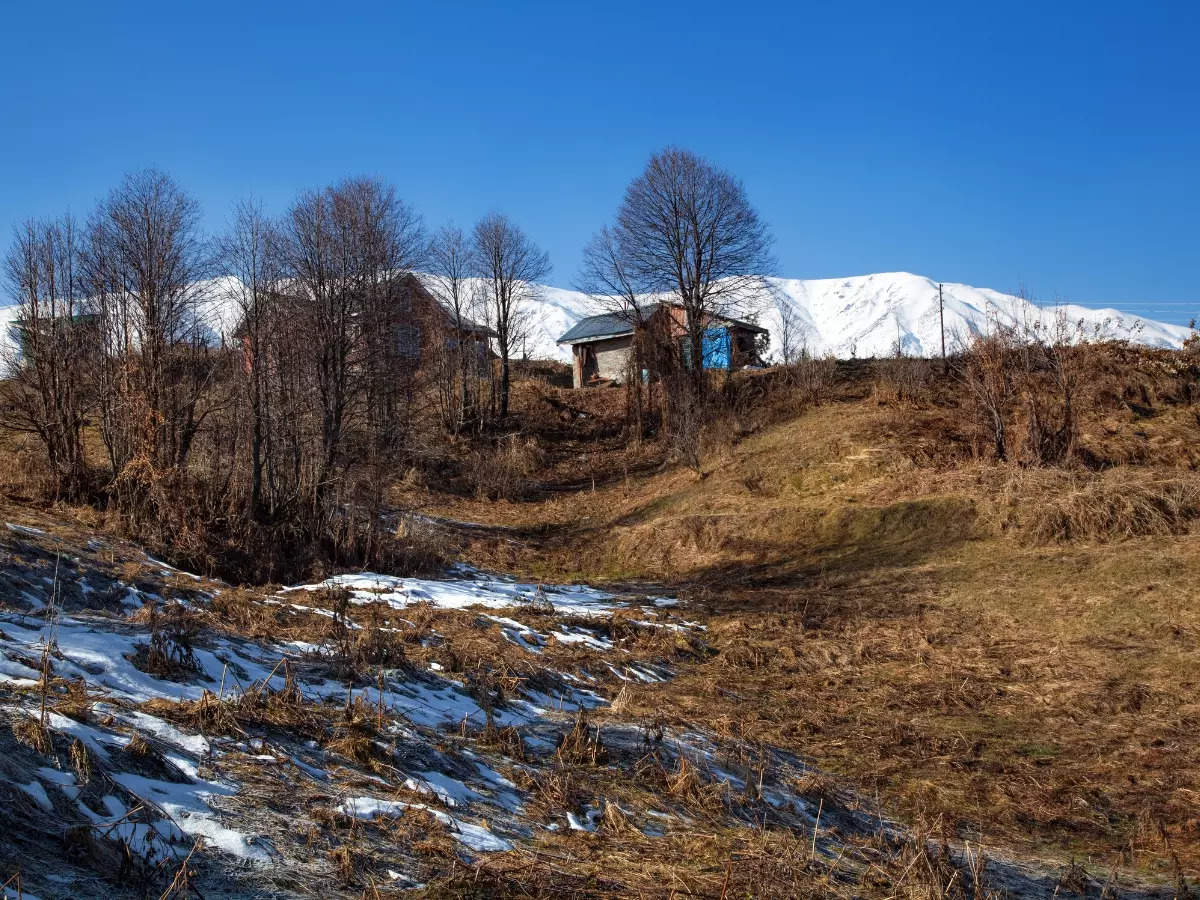 No snow gulmarg india