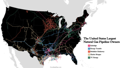 Natural gas pipeline south