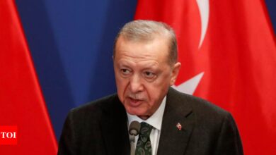 Somalia president son turkey crash