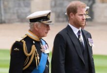 King charles cancer william harry