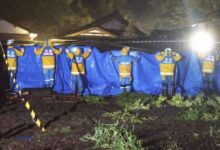 Japan earthquake survivor rescued