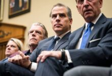Hunter biden capitol hearing