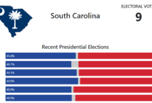 South carolina democratic primary vote