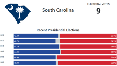 South carolina democratic primary vote