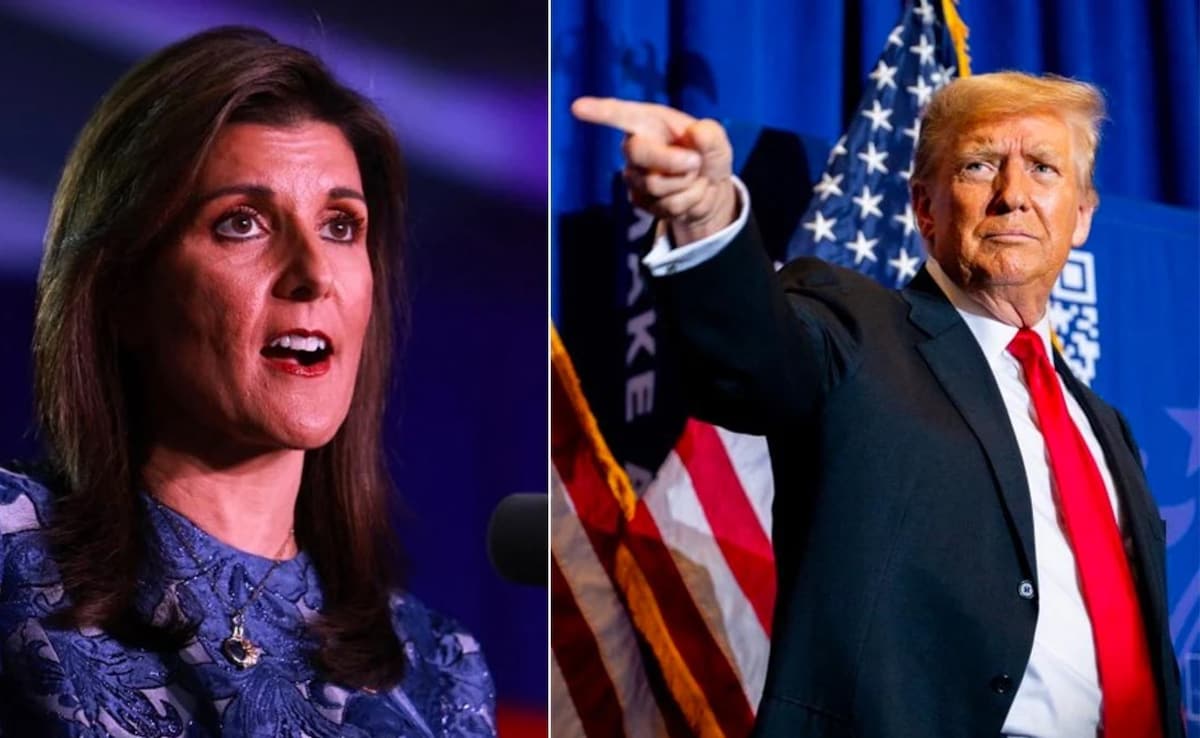 Trump haley biden election