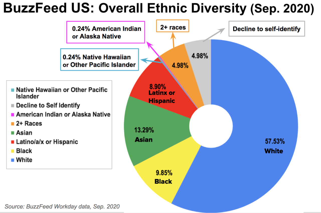 Census race ethnicity middle east north africa