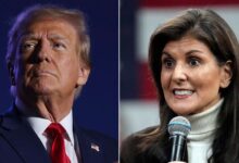 New hampshire primary haley trump