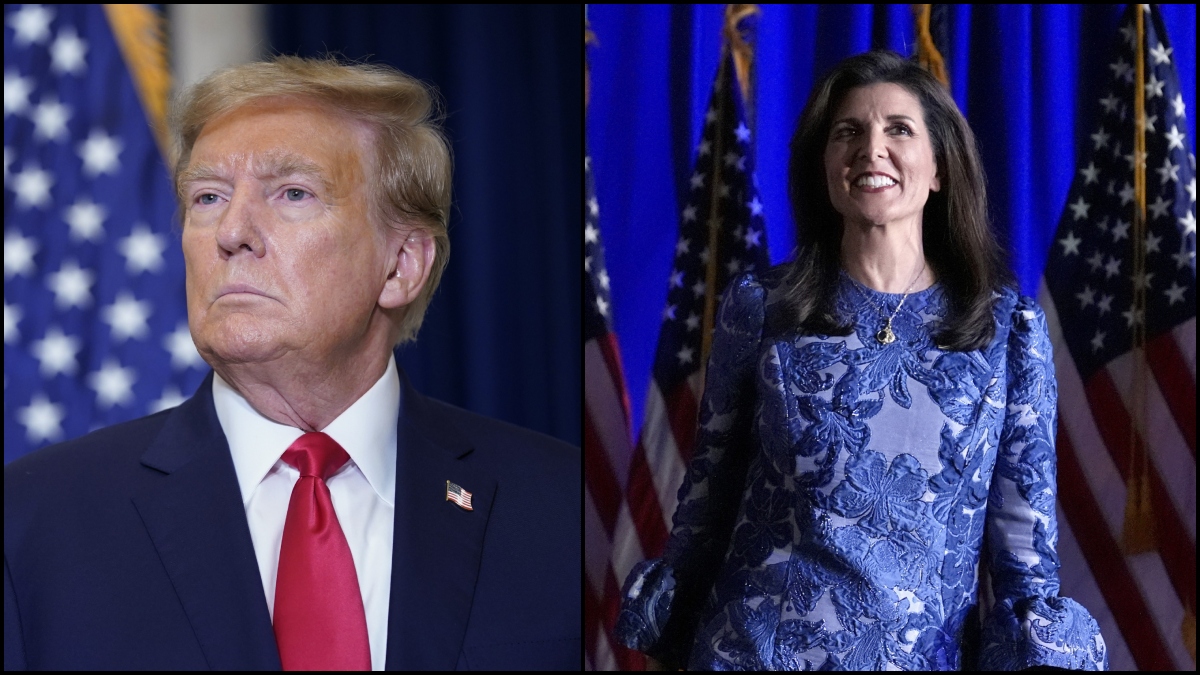 Trump haley biden election