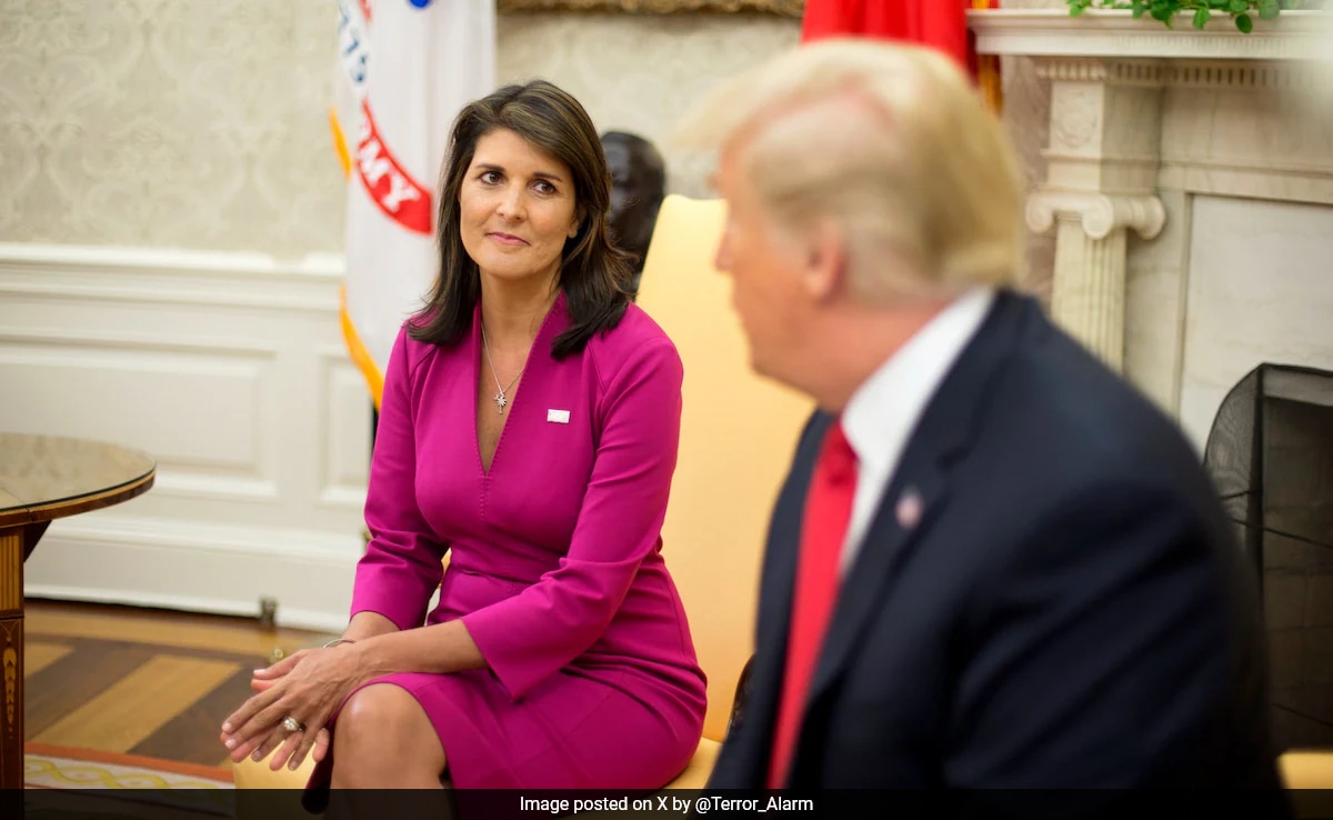 Trump haley biden election