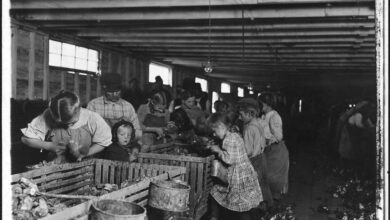 Labor child revolution industrial old during year shrimp oyster manuel picker work hb