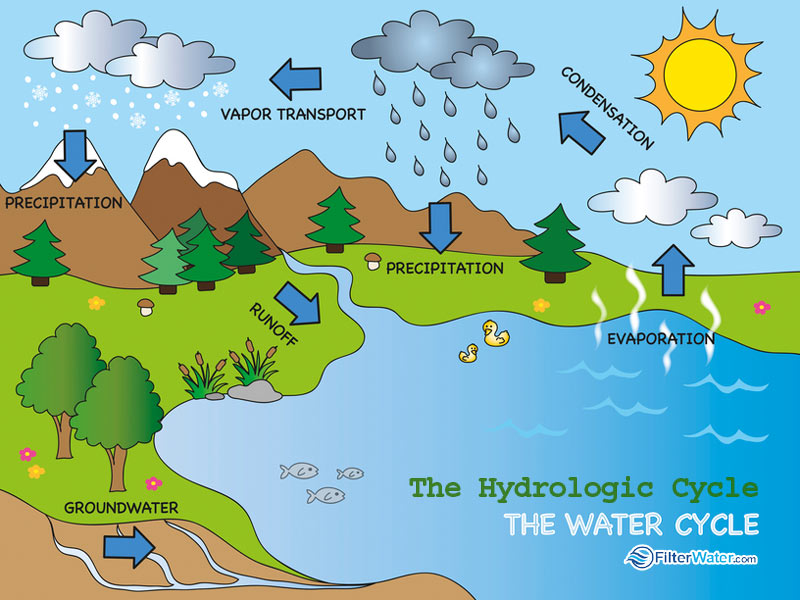 Word of the day hydrologic