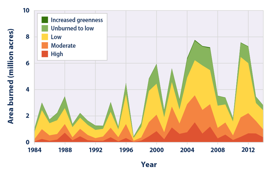 Chile wildfires global warming