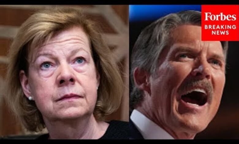 Tammy baldwin senate eric hovde