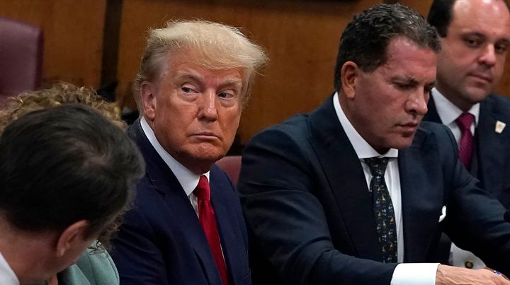 Trump manhattan criminal case