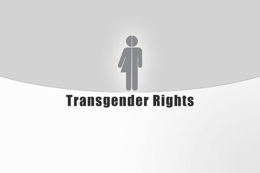 Trans visibility legislative rights