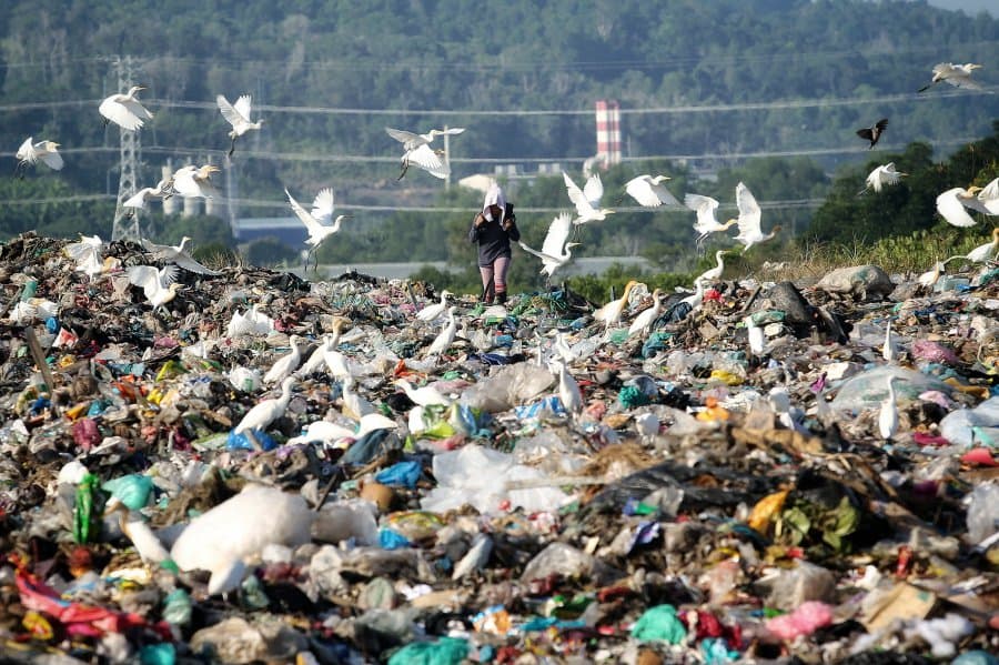 California plastic bag ban