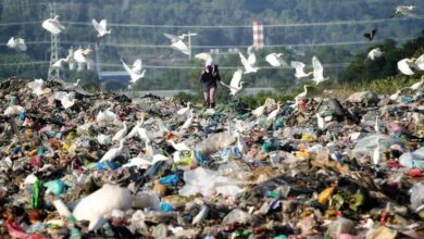 California plastic bag ban