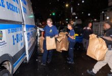 Brooklyn woman brick killed