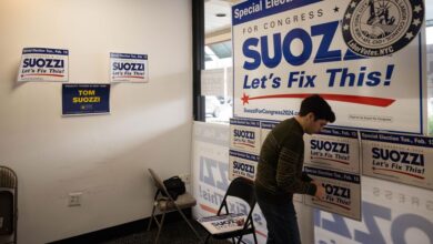 Special election democrats new york