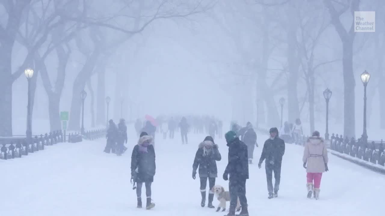 Nyc schools snow day remote classes