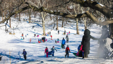 Nyc schools snow day remote classes