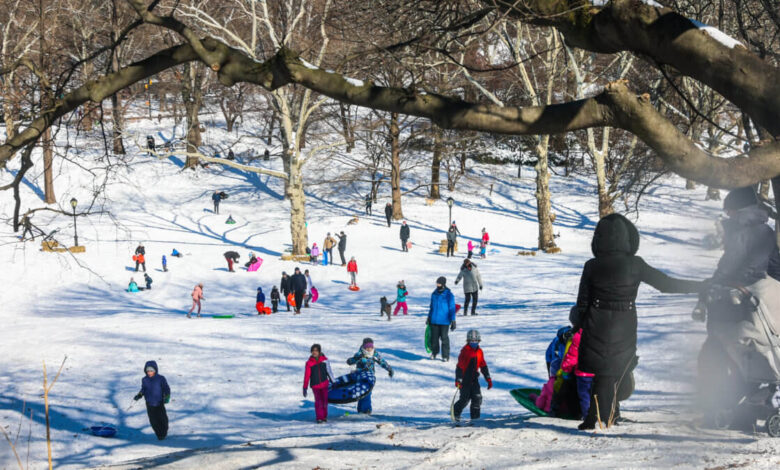 Nyc schools snow day remote classes