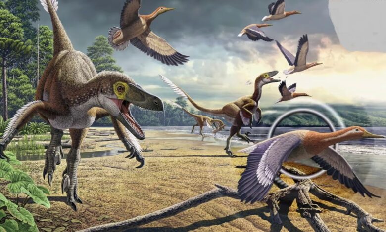 Bird asteroid killing sped
