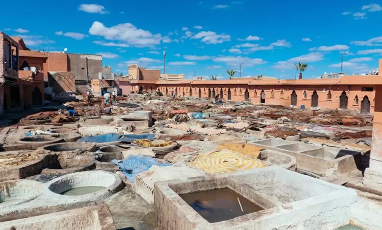 Things to do marrakesh