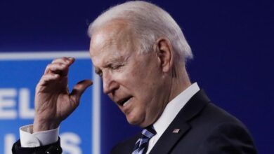 Biden memory age democrats