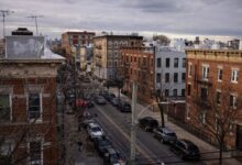 Nir meir hfz arrested developer